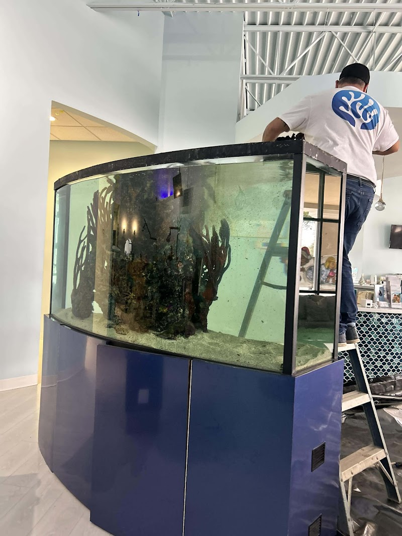 Reklaw Reef - Photo 2