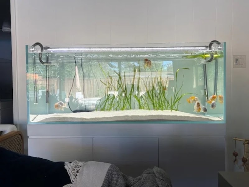 Reklaw Reef - Photo 4