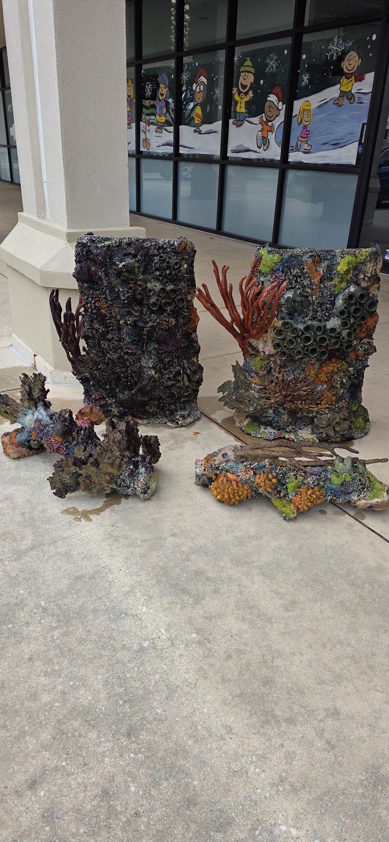 Reklaw Reef - Photo 5