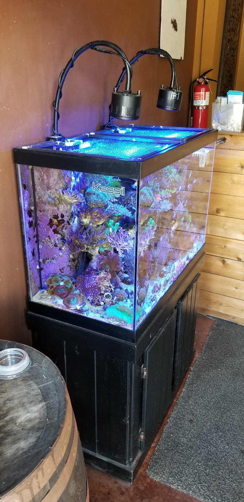Aquatic Evolution LLC - Photo 3