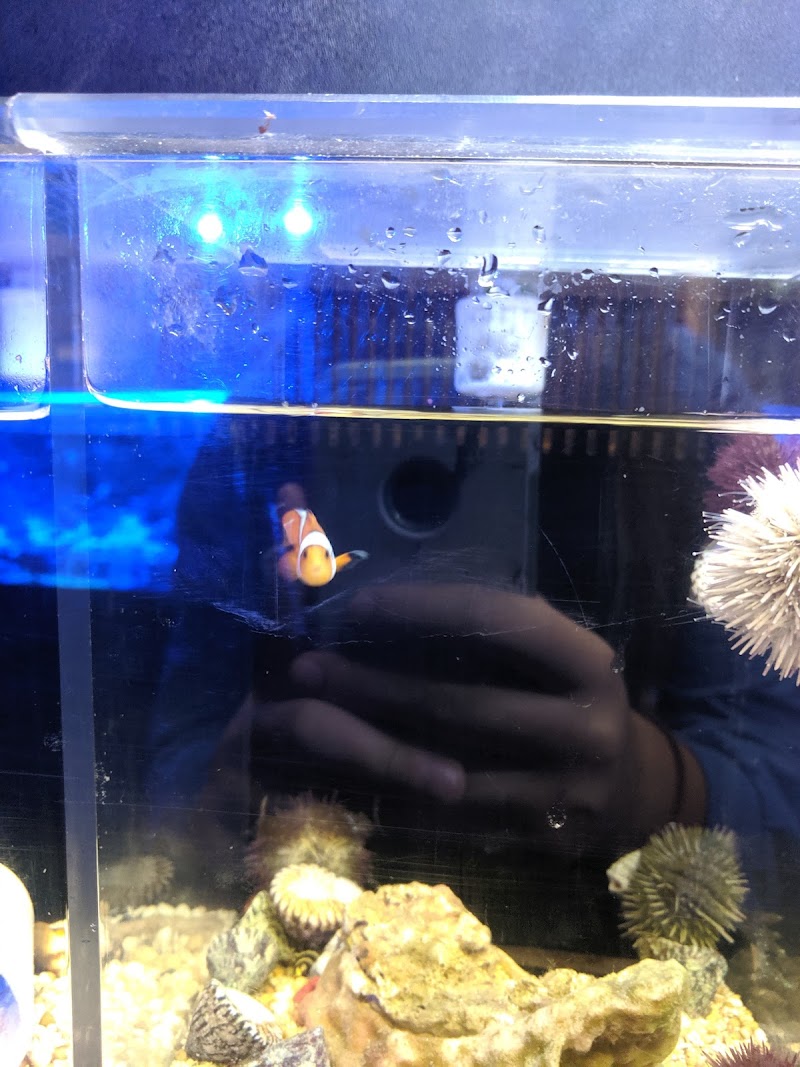 Aquatic Evolution LLC - Photo 4