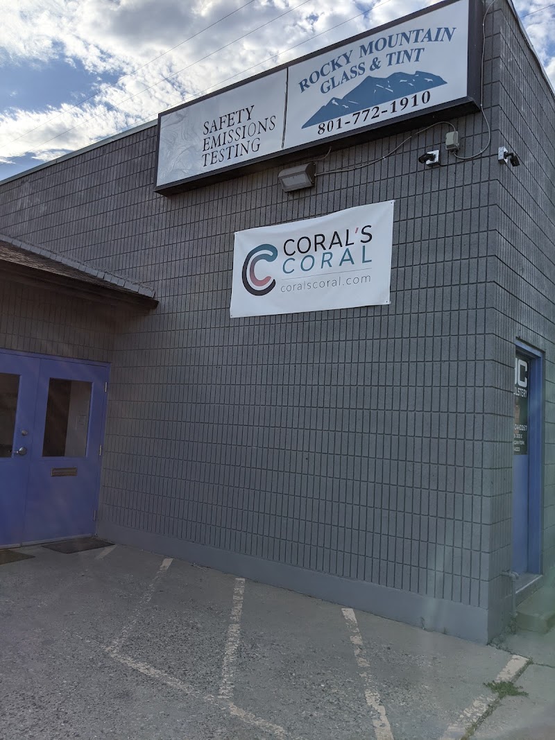 Corals Coral and More - Photo 1