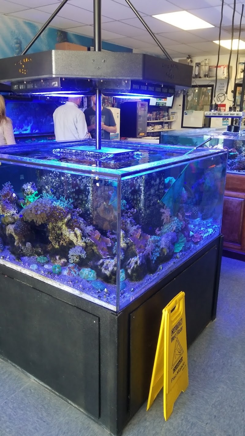 The Fish Tank - Photo 3