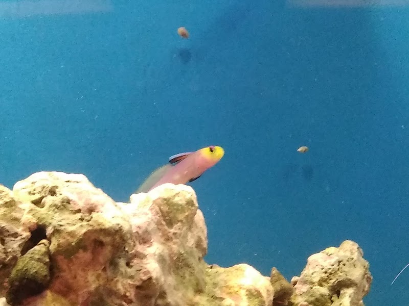 The Fish Tank - Photo 5