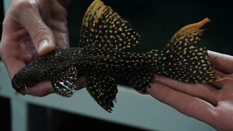 The Waterfront - Photo 2