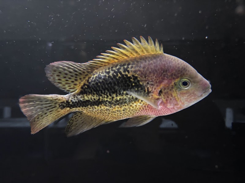 The Waterfront - Photo 3