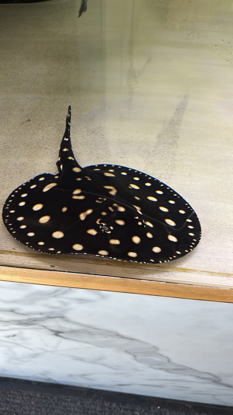 The Waterfront - Photo 4