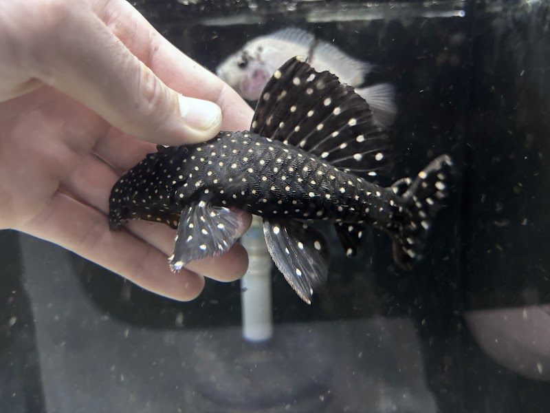 The Waterfront - Photo 5