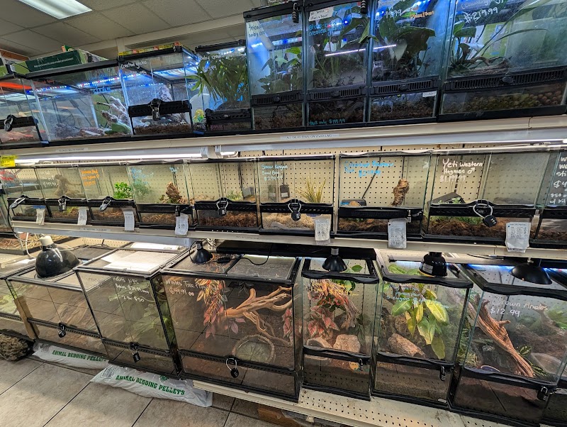 Animal Ark Orem - Photo 2