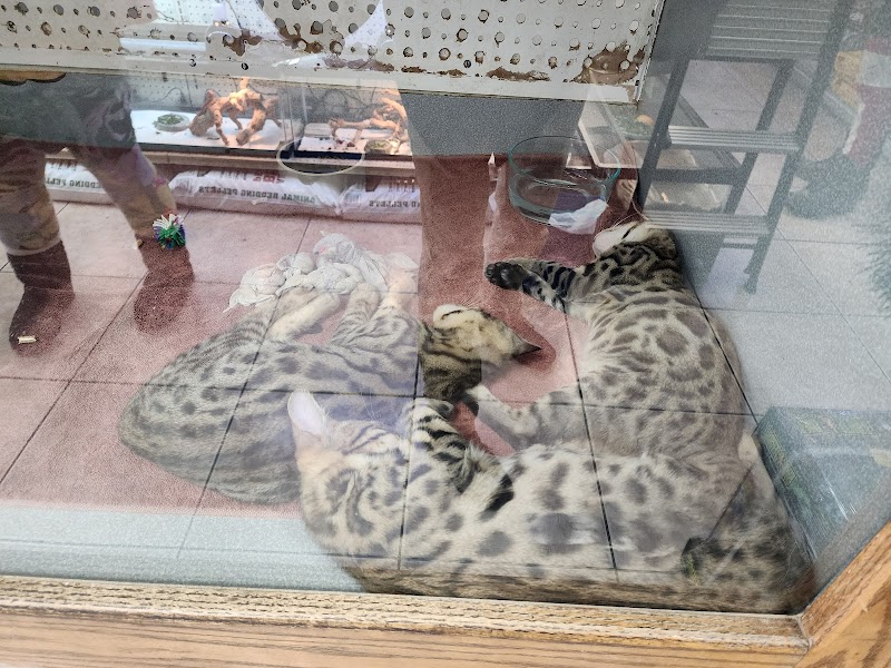 Animal Ark Orem - Photo 3