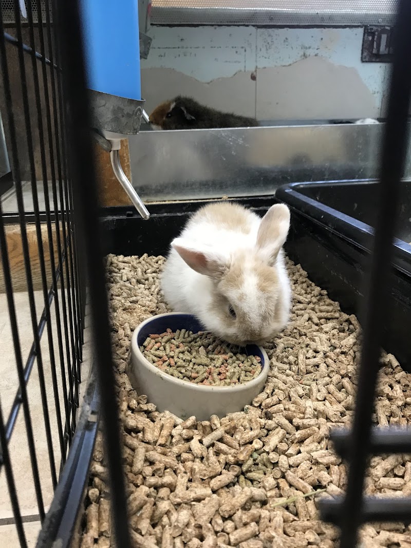 Animal Ark Orem - Photo 4