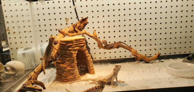 Animal Ark Orem - Photo 5