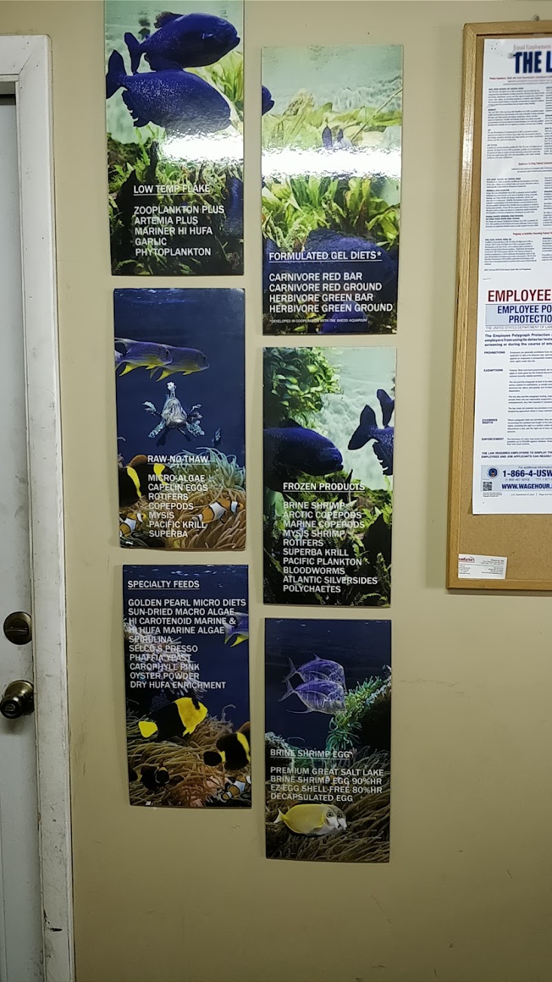 Brine Shrimp Direct - Photo 1