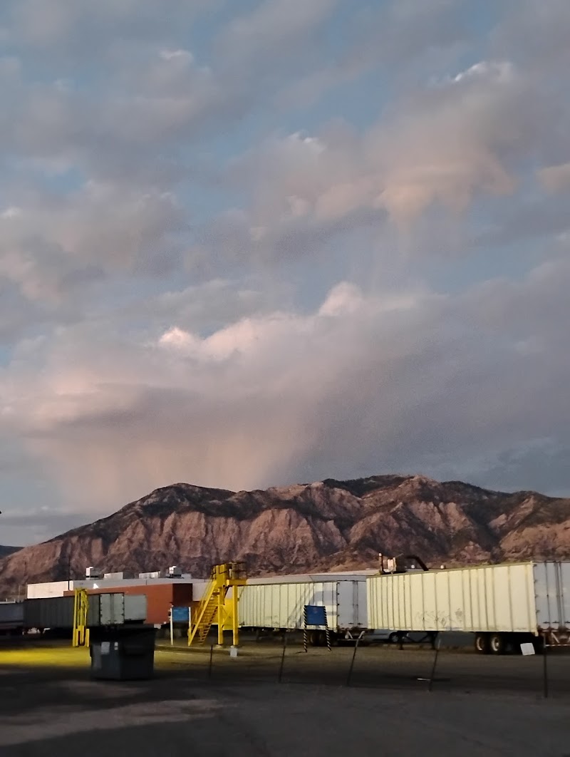 Brine Shrimp Direct - Photo 4