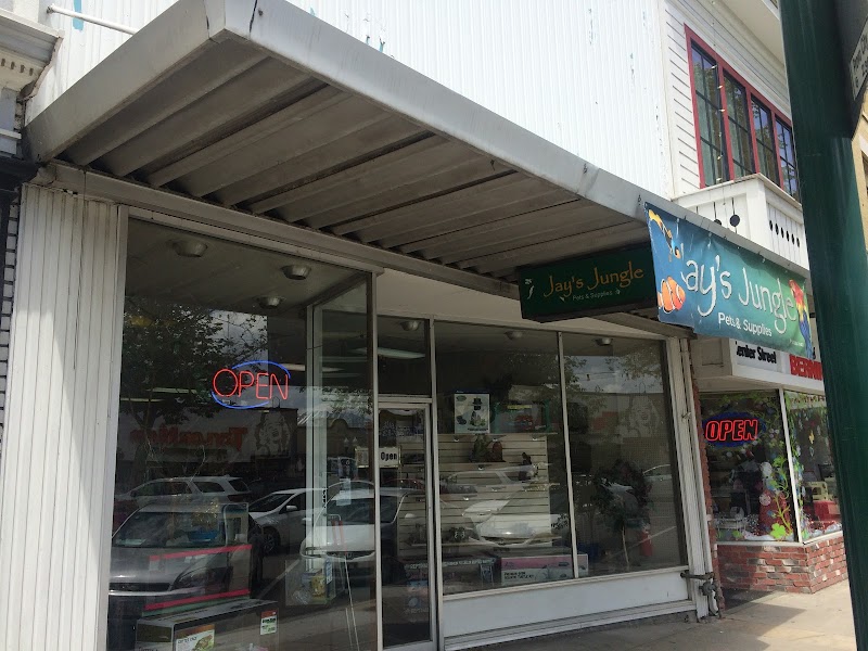 Jay's Jungle - Photo 1