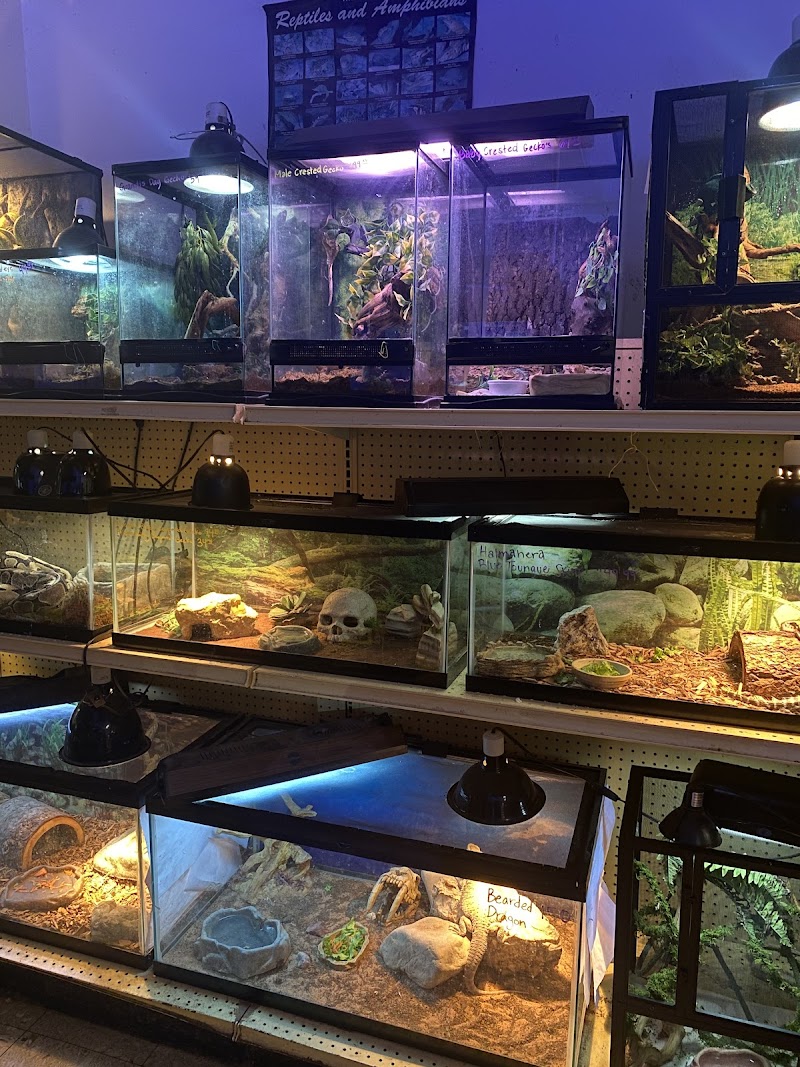 Jay's Jungle - Photo 2