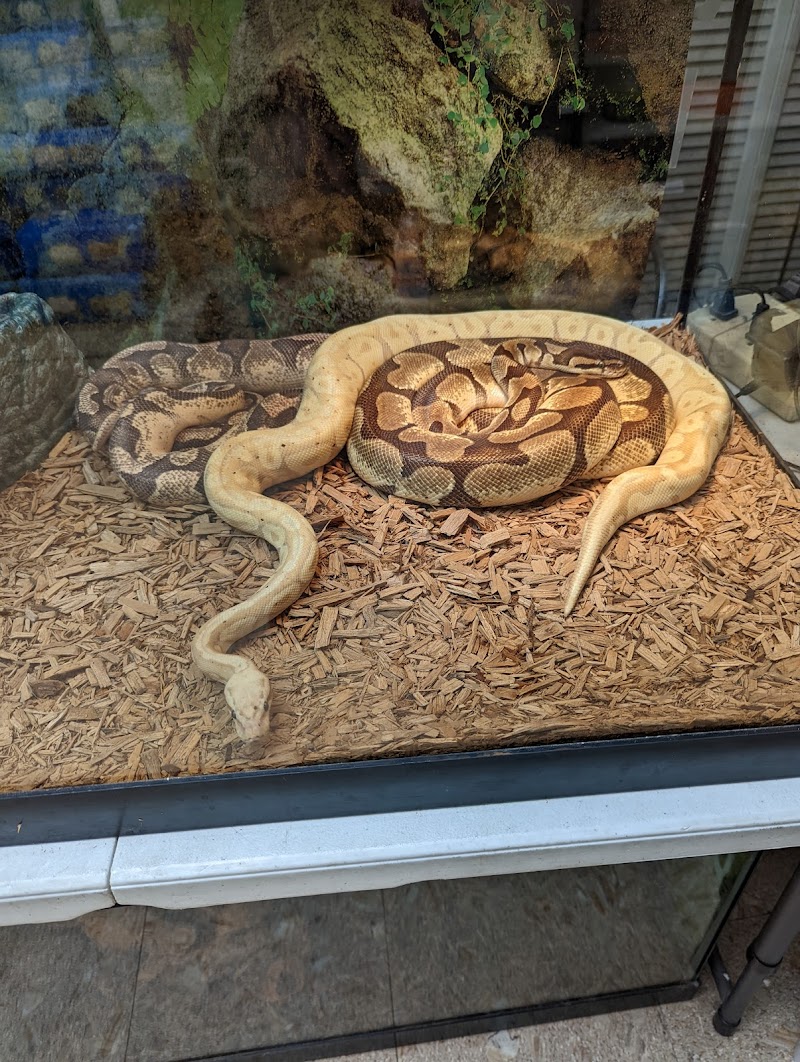 Jay's Jungle - Photo 3