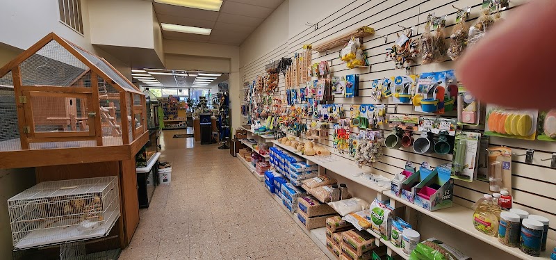 Jay's Jungle - Photo 4