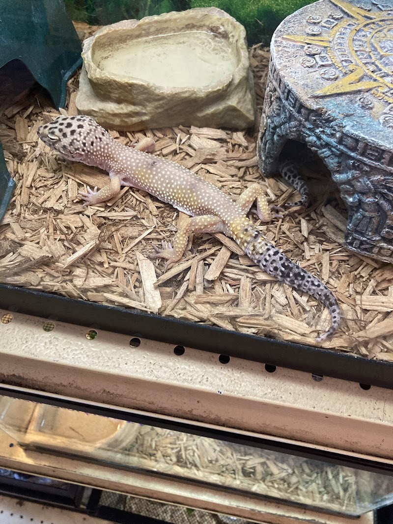 Jay's Jungle - Photo 5