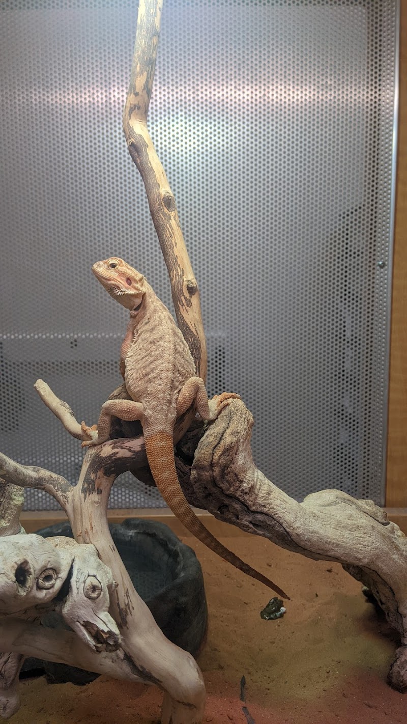 Animal Ark - Photo 3