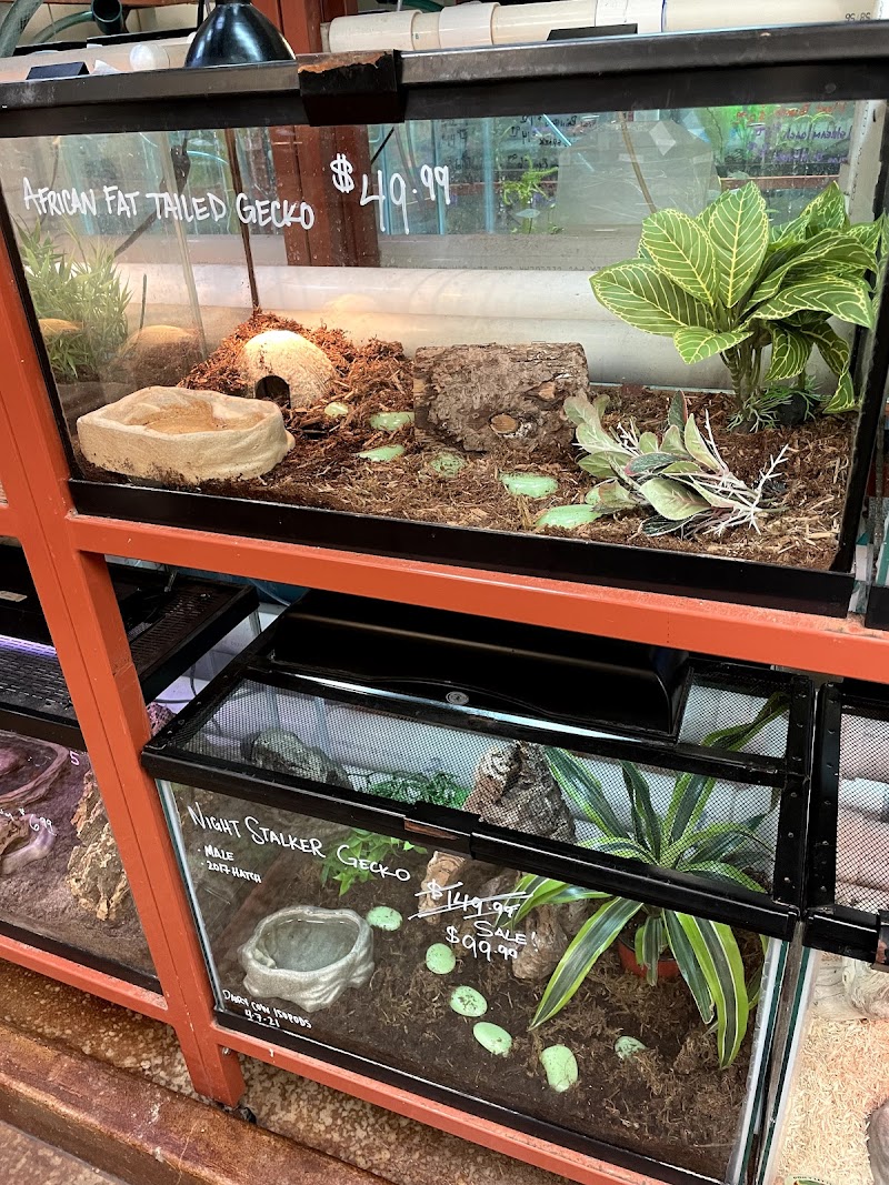 Animal Ark - Photo 5