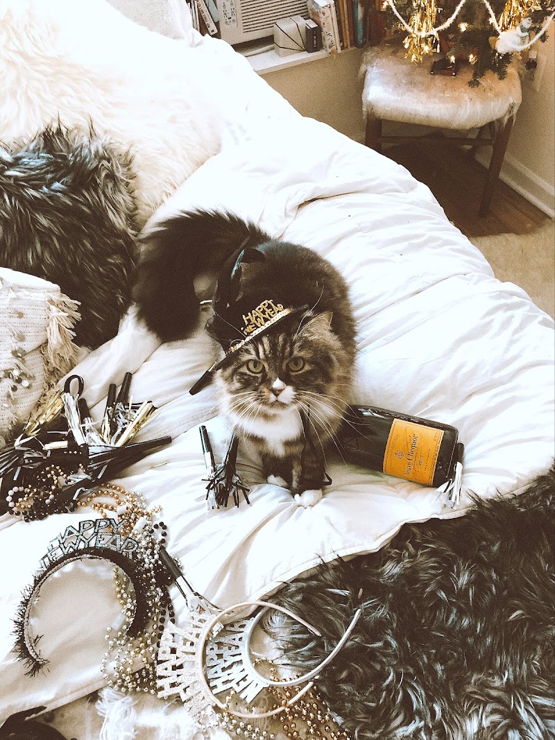 Mark's Ark Inc - Photo 3