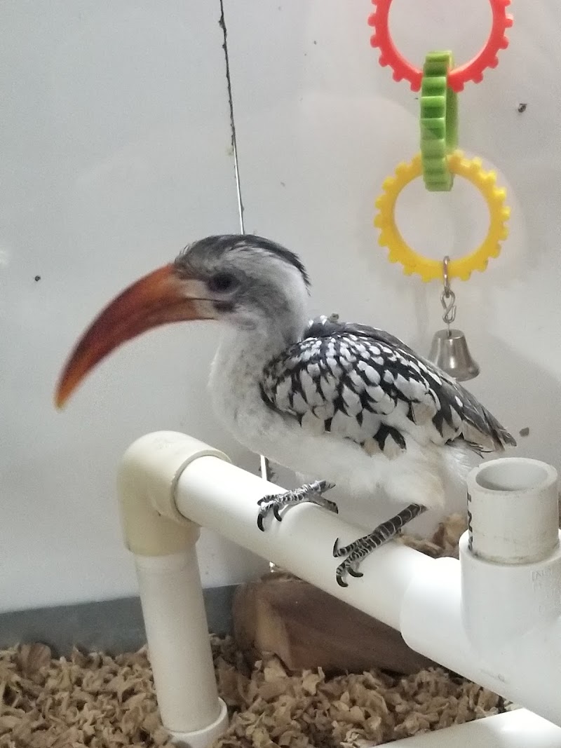 Mark's Ark Inc - Photo 4