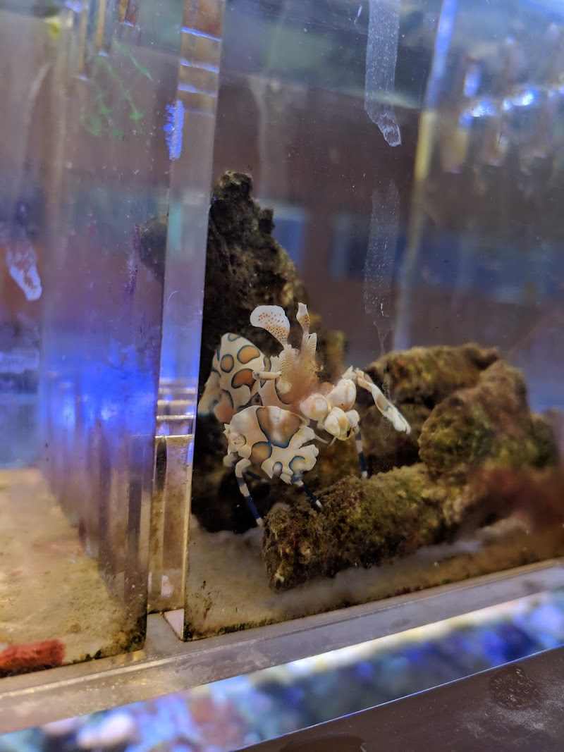 Centreville Aquarium - Photo 2