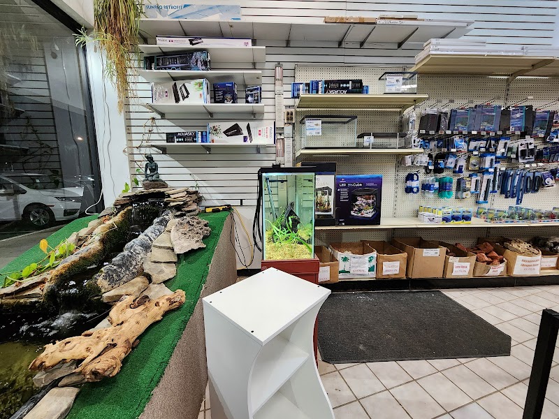 Centreville Aquarium - Photo 4