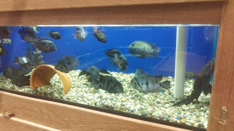 Centreville Aquarium - Photo 5