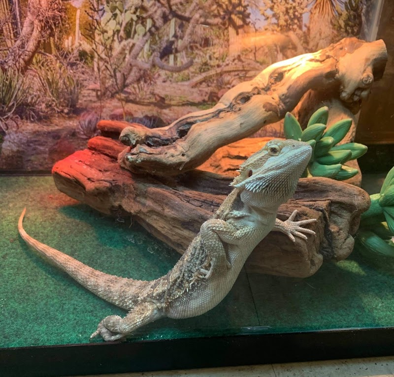 Exotics & Aquatics - Photo 2