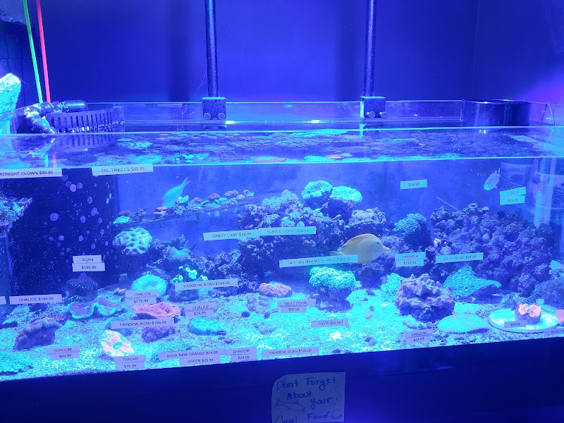 Exotics & Aquatics - Photo 3