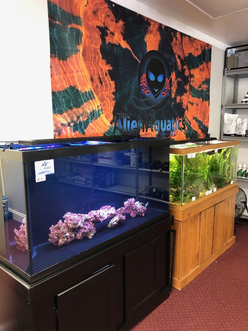Alien Aquatics - Photo 3