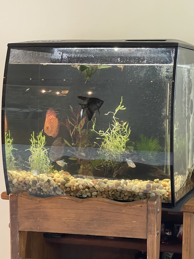 Alien Aquatics - Photo 4