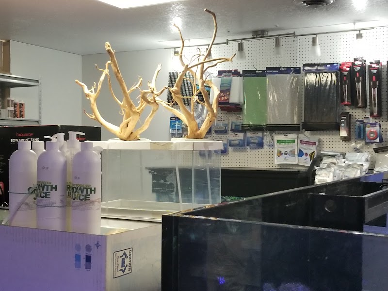 Alien Aquatics - Photo 5