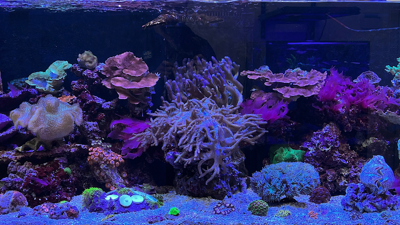 Ultimate Aquariums - Photo 1