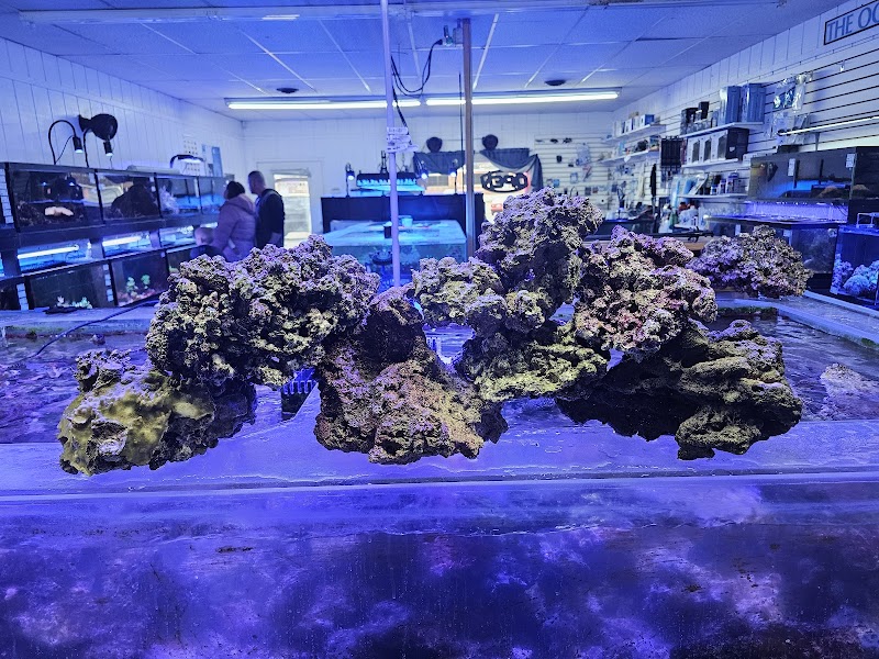 Ultimate Aquariums - Photo 3