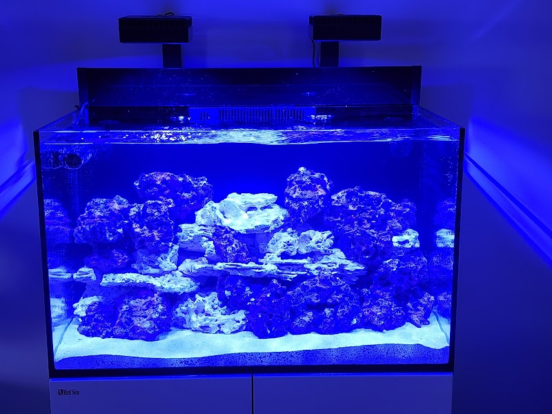 Ultimate Aquariums - Photo 4