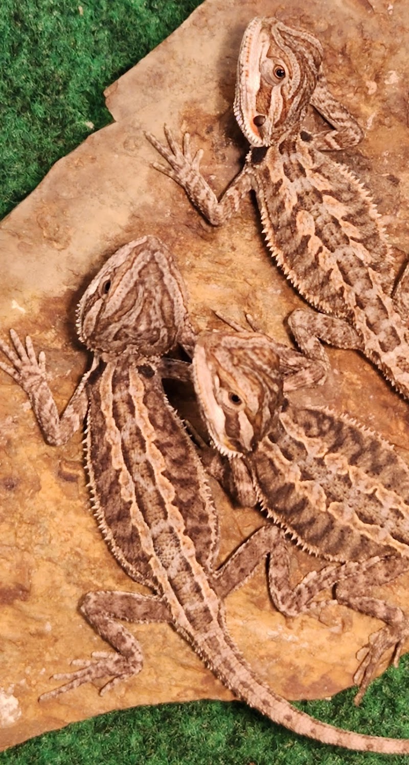 Personal Touch The Fish Superstore - Photo 4