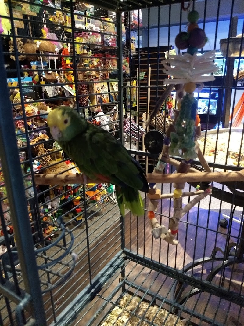 Wings Tails & Fins - Photo 2