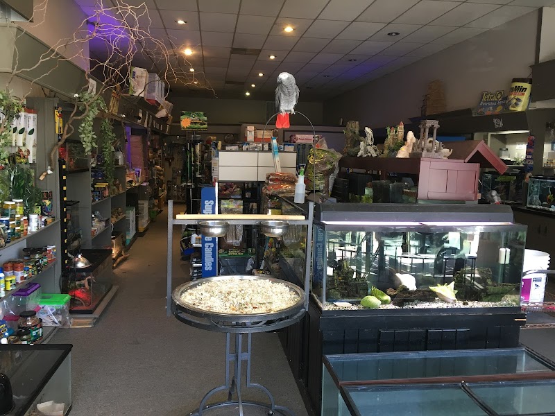 Wings Tails & Fins - Photo 3