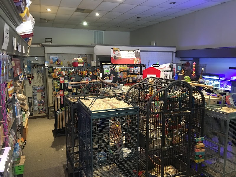 Wings Tails & Fins - Photo 5