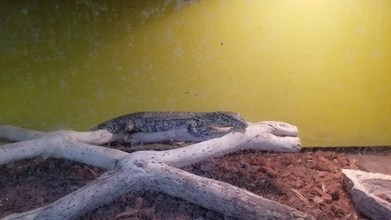 The Aquarium - Photo 2