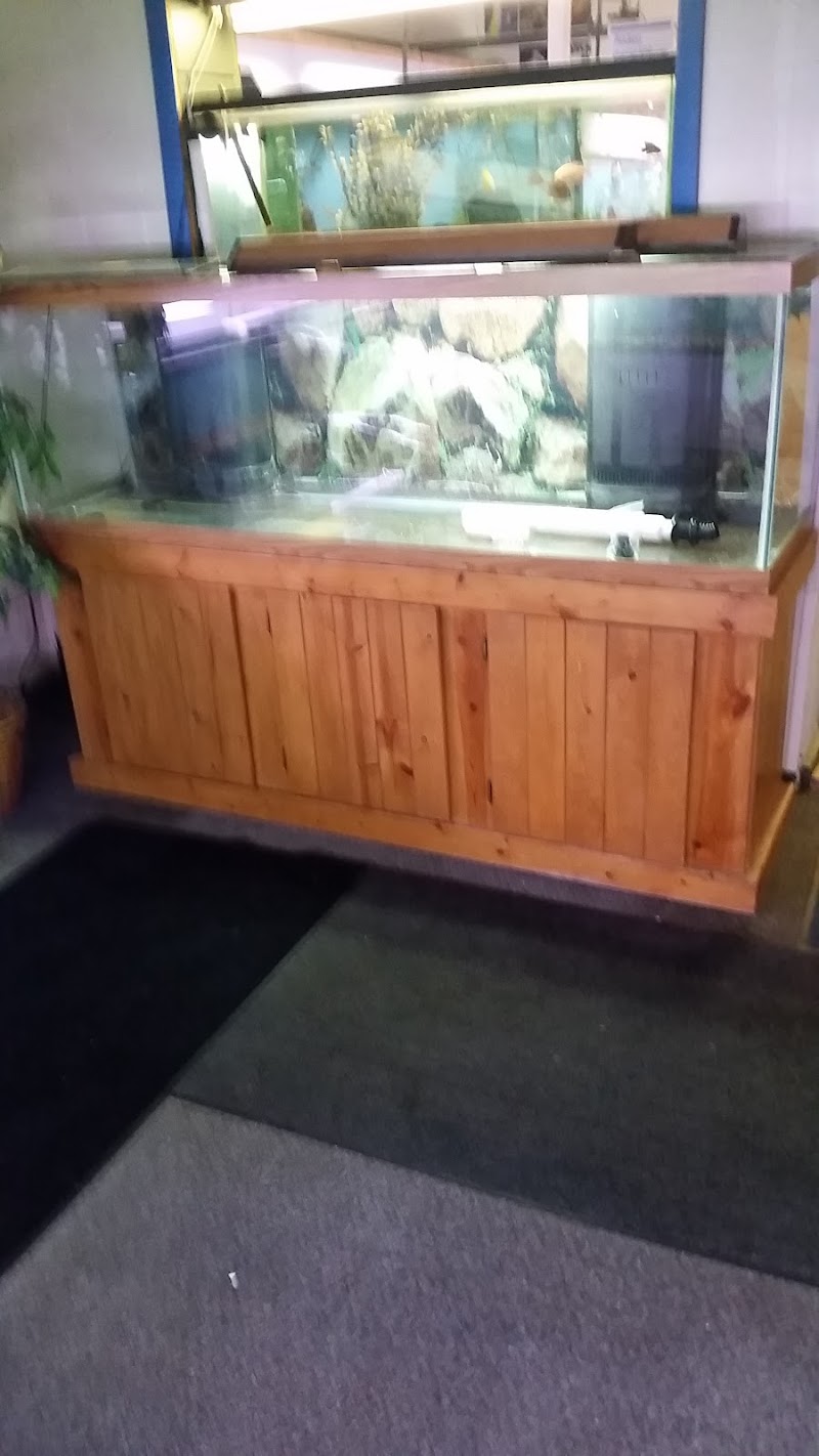 The Aquarium - Photo 3