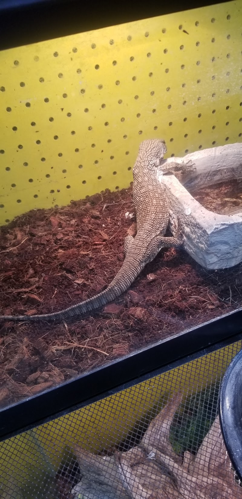 The Aquarium - Photo 4