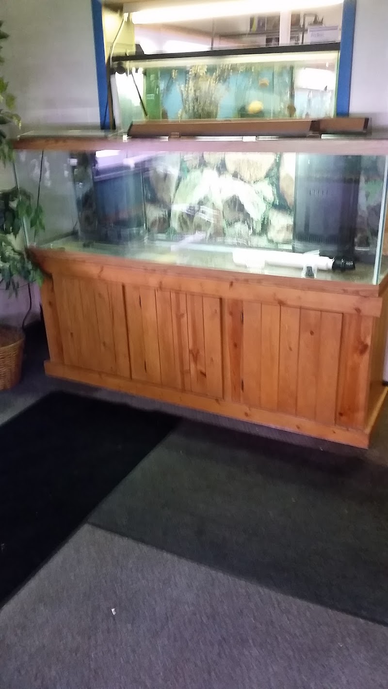 The Aquarium - Photo 5