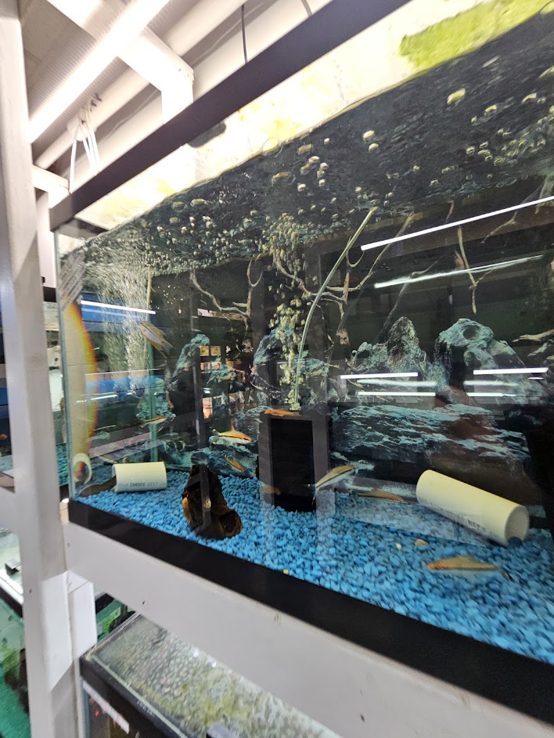KMA Aquatic Pets - Photo 3