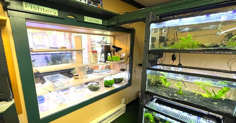 Fishtery LFS - Photo 2