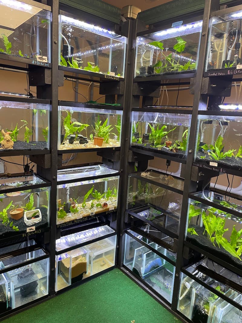 Fishtery LFS - Photo 5