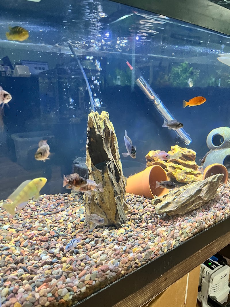 Critter Cove LLC - Photo 3